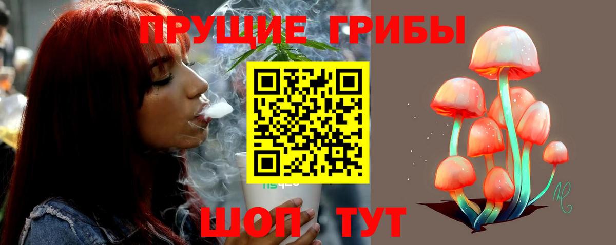 Галлюциногенные грибы Psilocybe  Галлюциногенные грибы прущие грибы  Чебоксары  Вход с VPN 